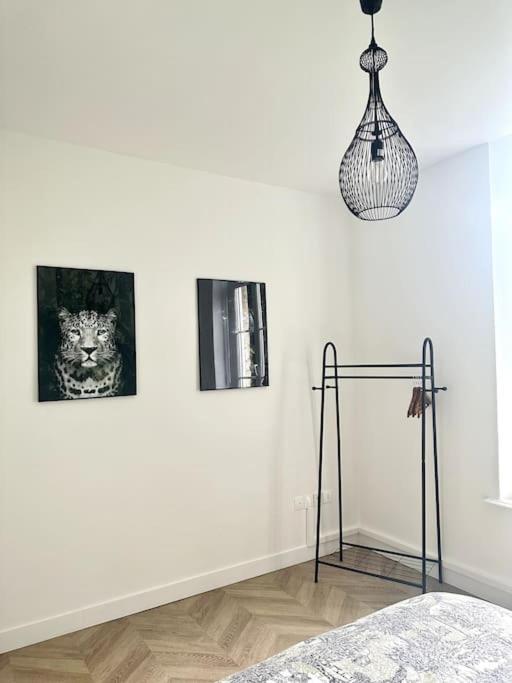 L'Amazonia : Face A La Basilique Parking Gratuit Apartment Boulogne-sur-Mer Exterior foto