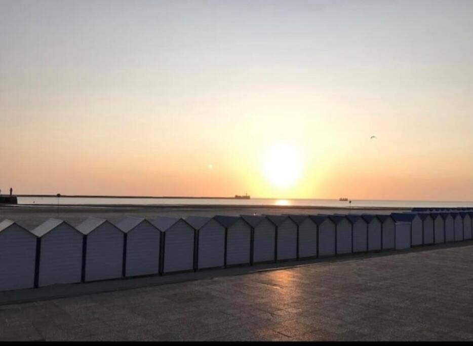 L'Amazonia : Face A La Basilique Parking Gratuit Apartment Boulogne-sur-Mer Exterior foto